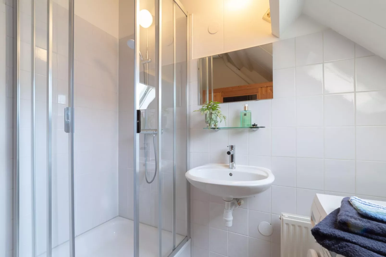 Villapark De Oesterbaai 63-Badezimmer