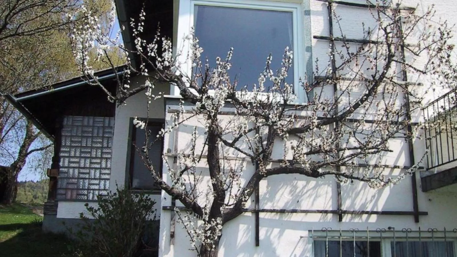 Landhaus Karawankenblick-Exterior summer