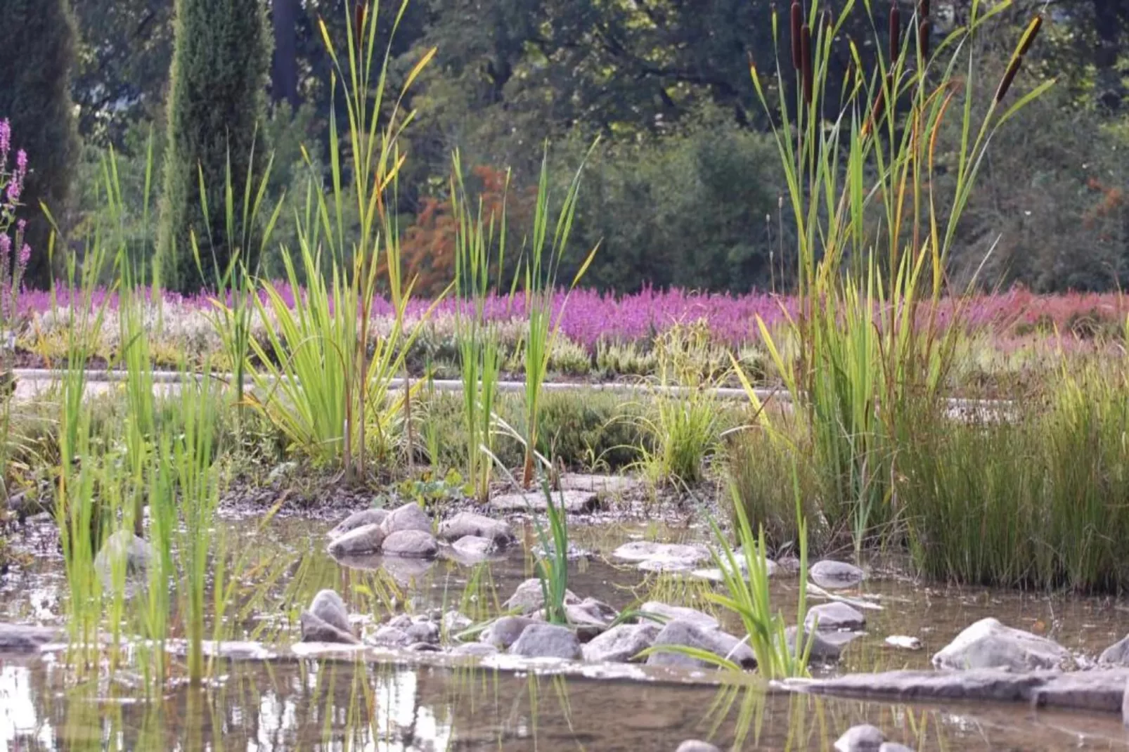 Waldsuite-Areas summer 5km