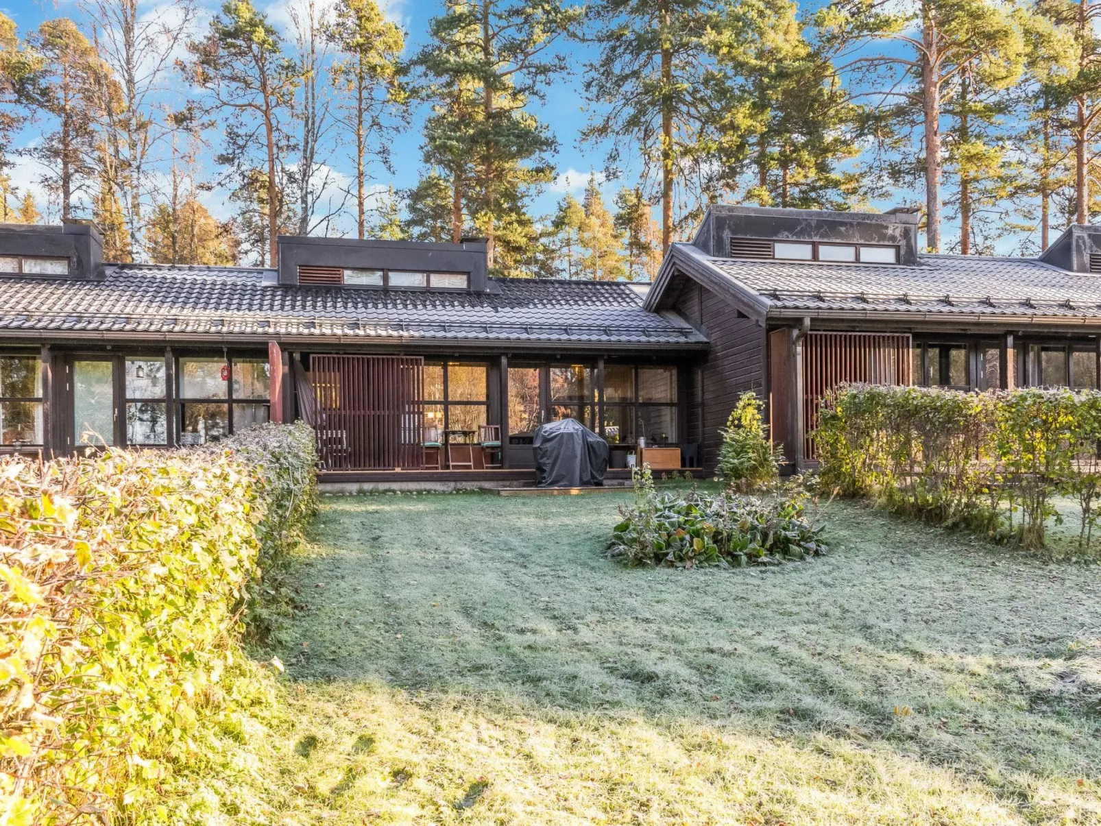 Säästöloma 5 c 10 by bomba-Outside
