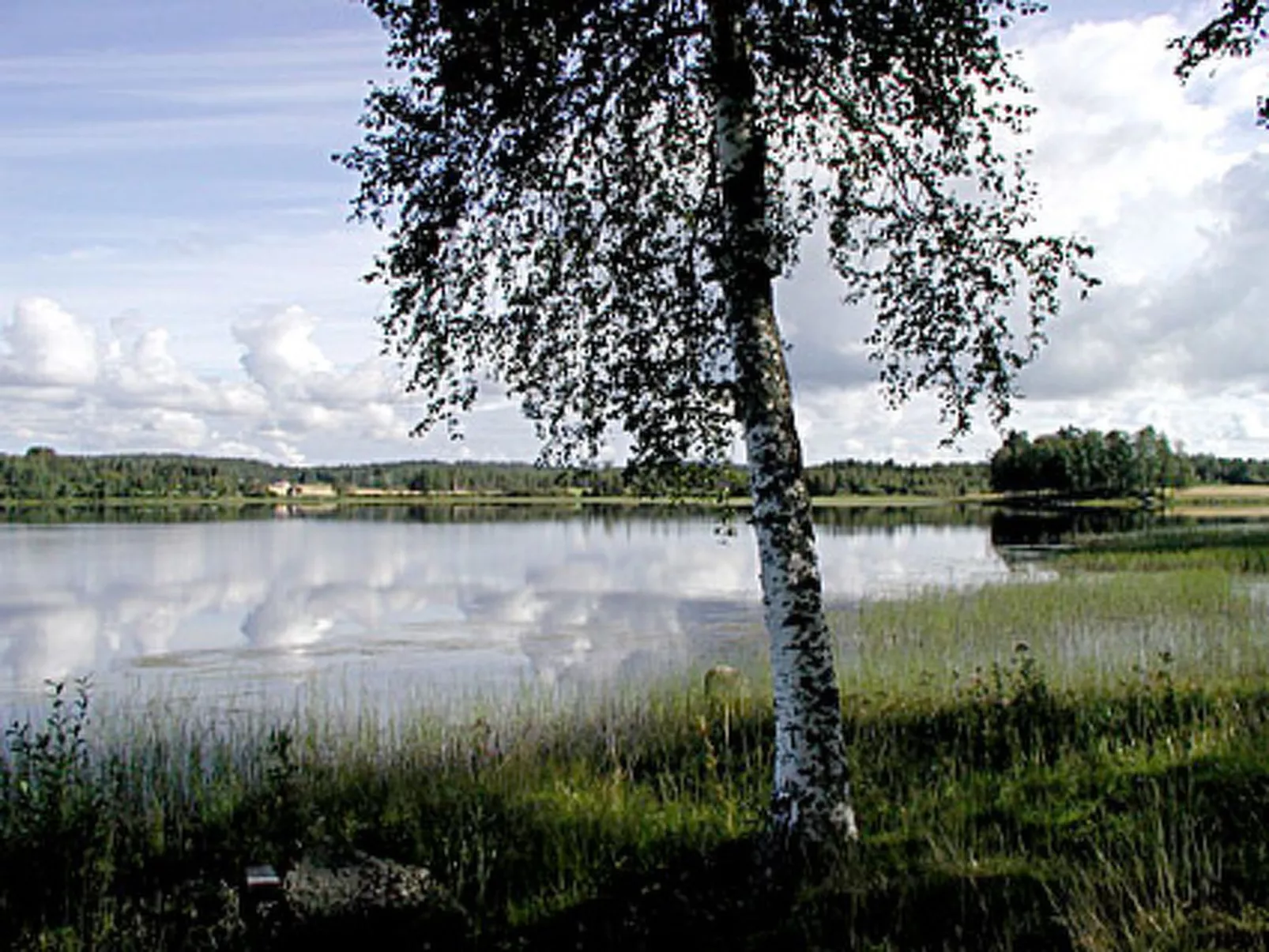 Villiruusu-Outside