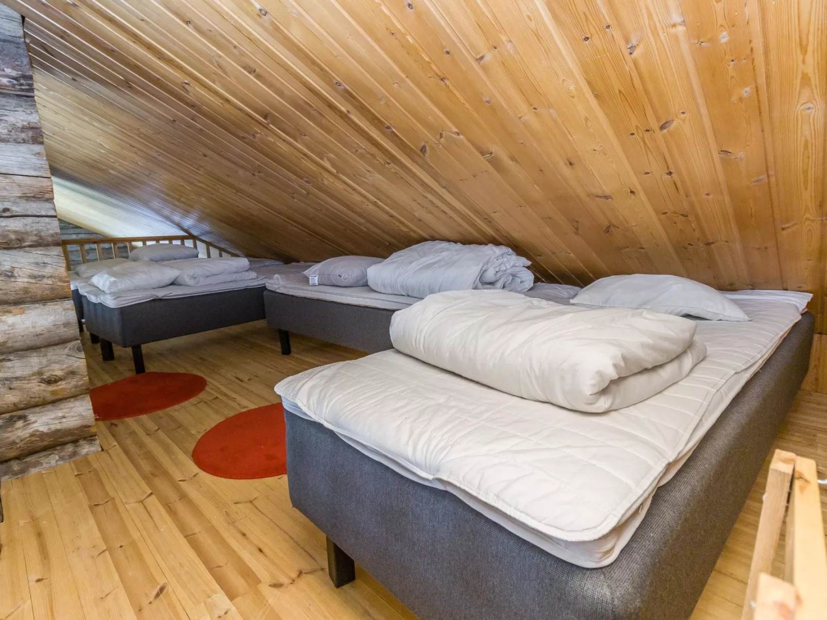 Muuttohaukka-Inside