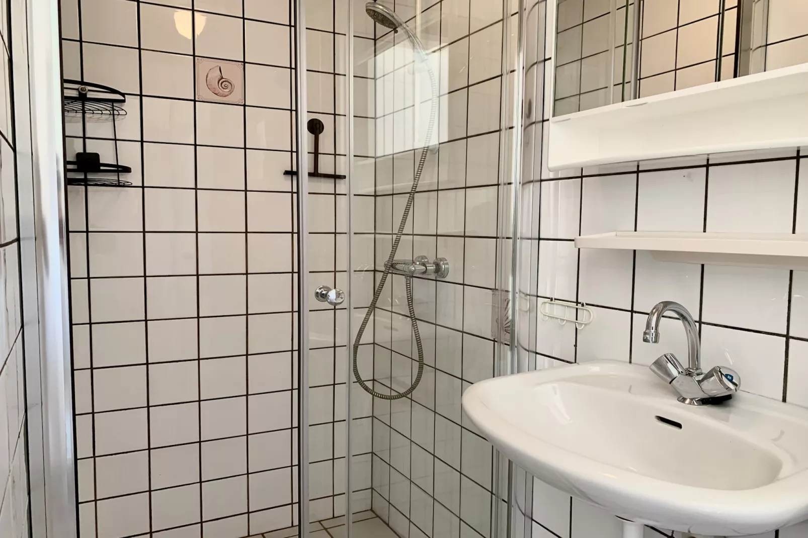 Wildrijk 141-Salle de bain