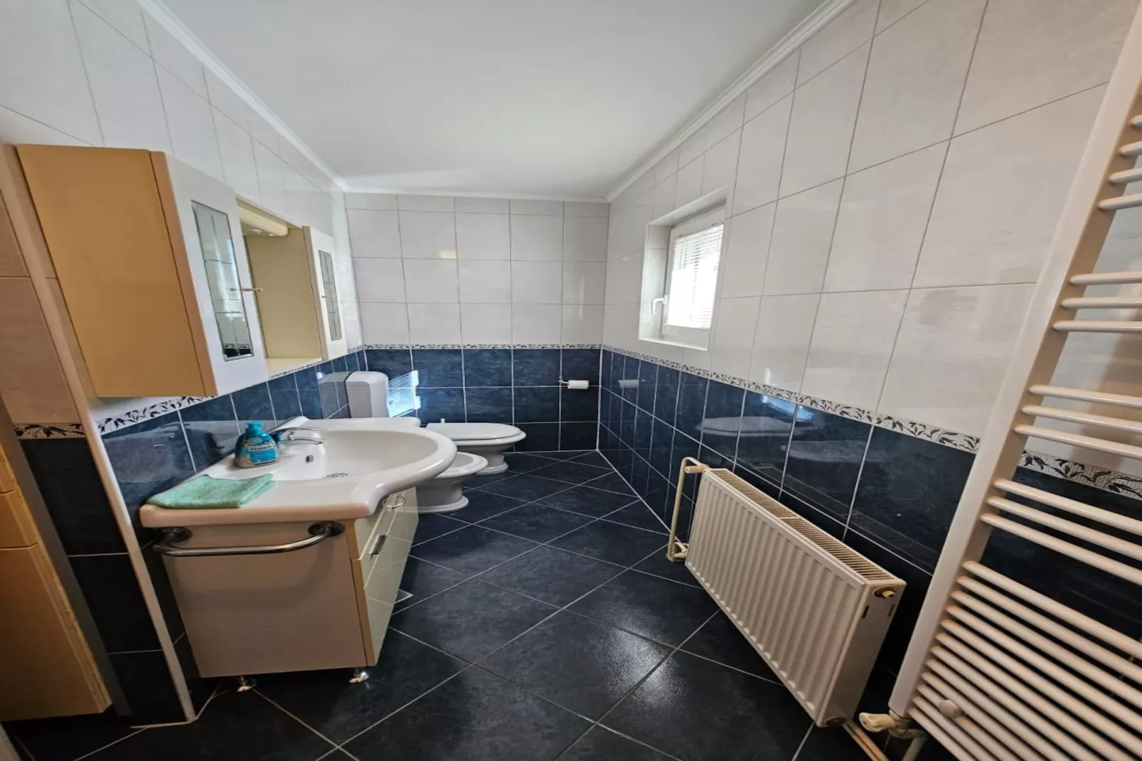 Apartments Olga - two bedroom apartment A2-Bathroom