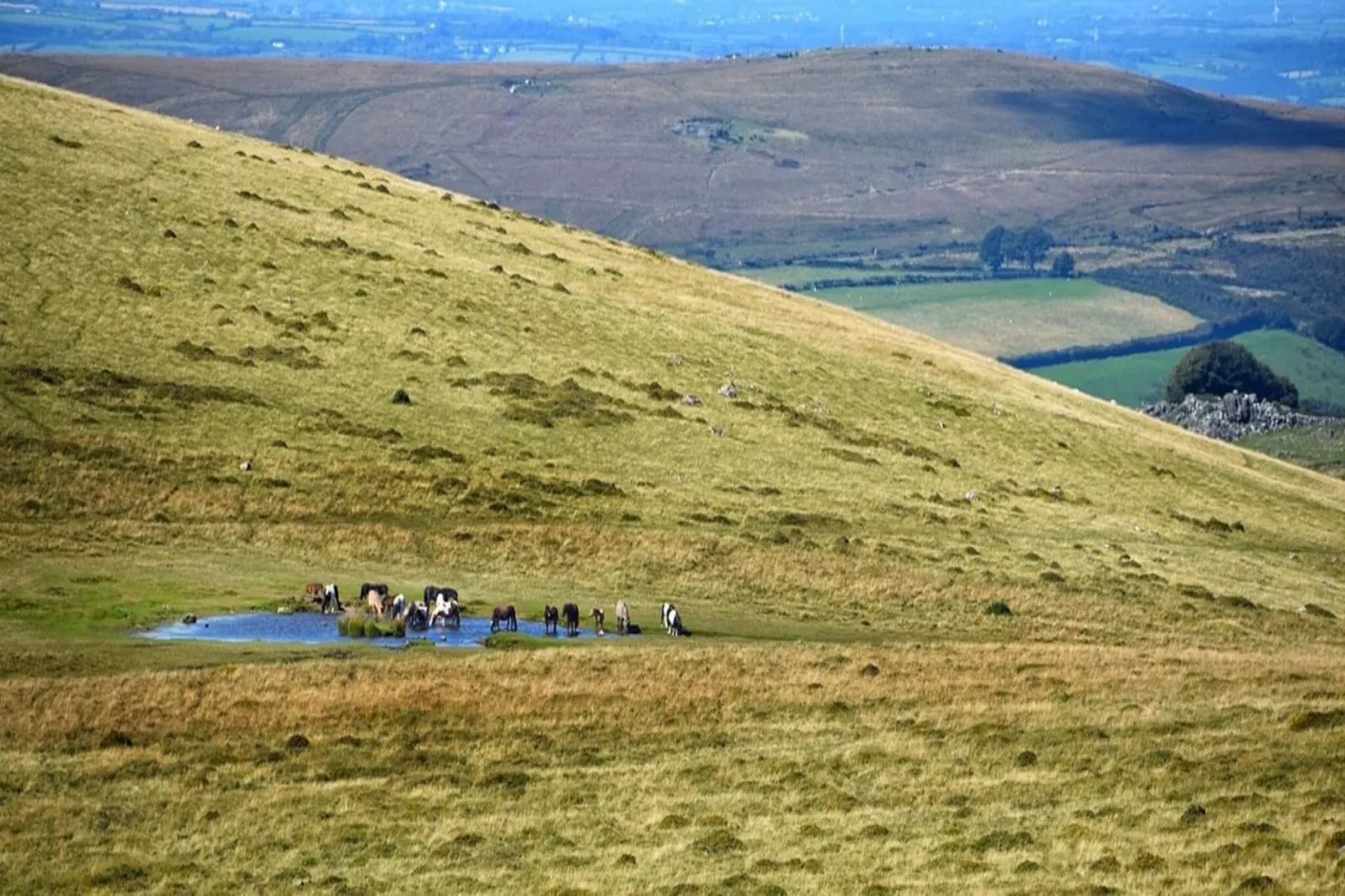 Tor Lodge-View summer