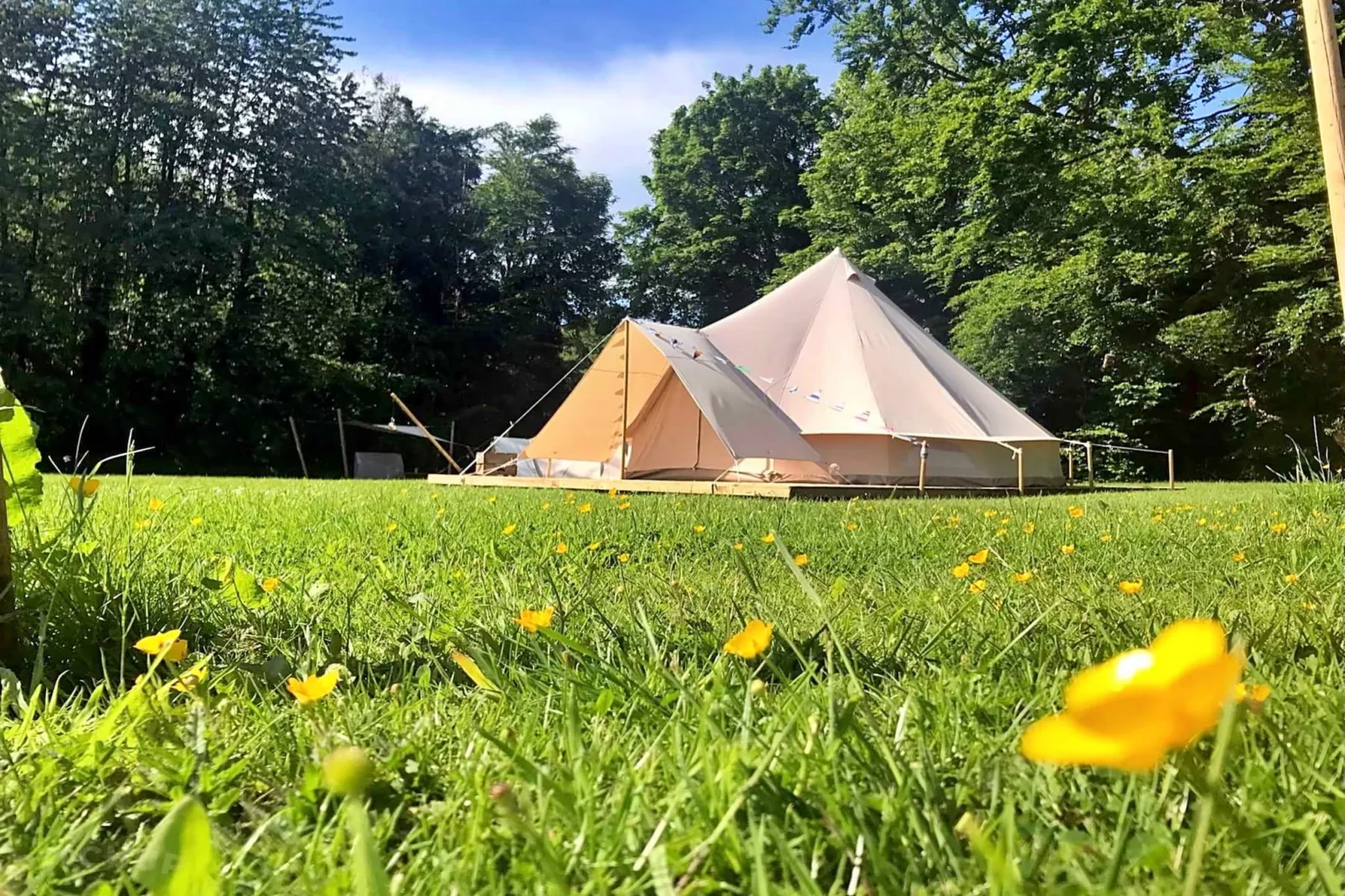 Lilypad Bell Tent-Outdoor