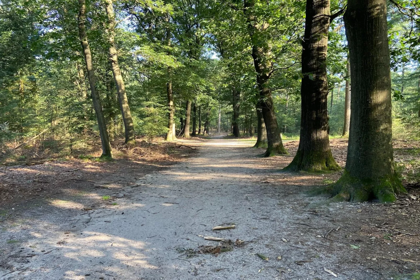 Chalet Bosuil-Gebiete Sommer 1 km