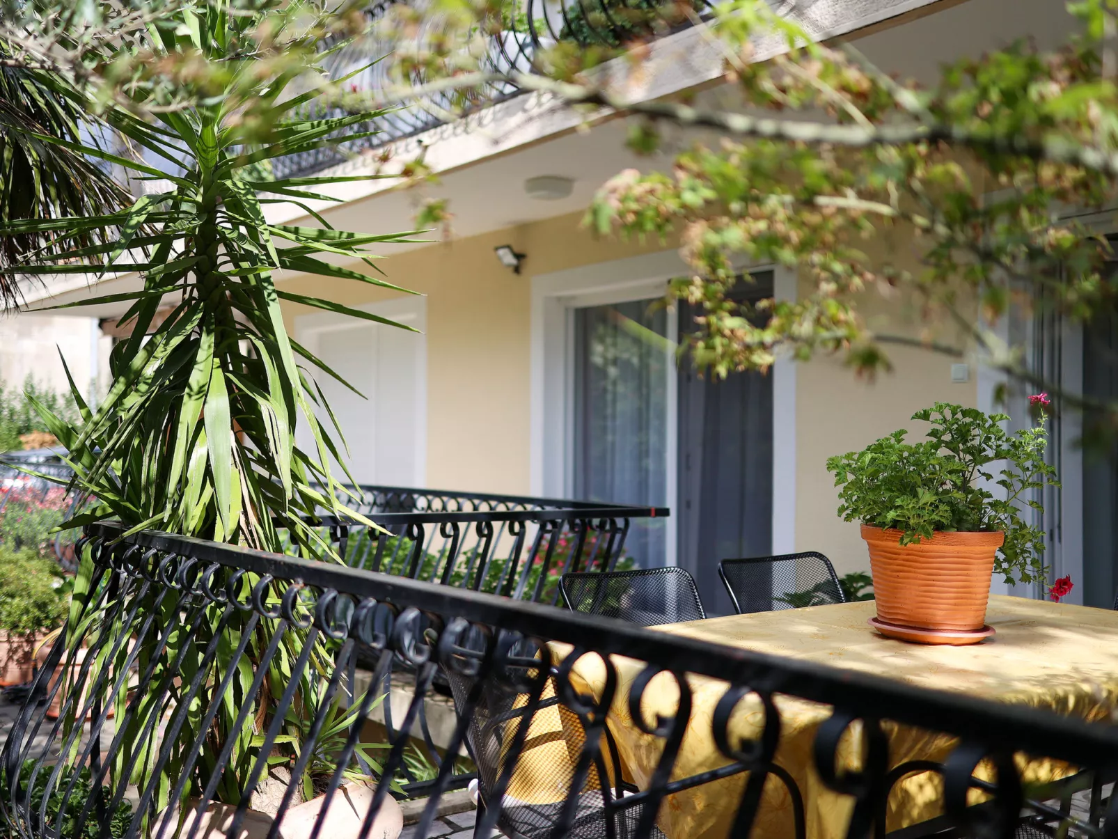 Apartmani Pintar-Outside