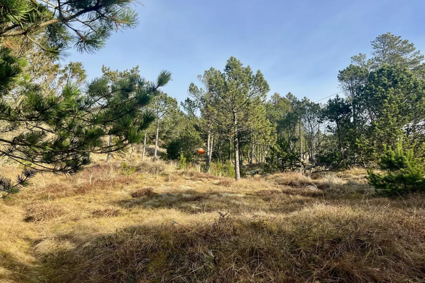 5 star holiday home in Ålbæk-Not tagged