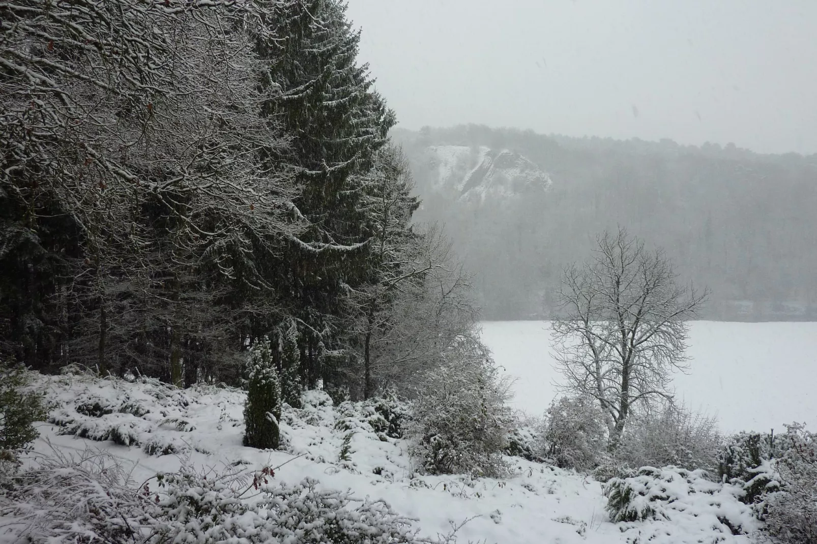 Domaine De L'Ecureuil 5-Area winter 1km