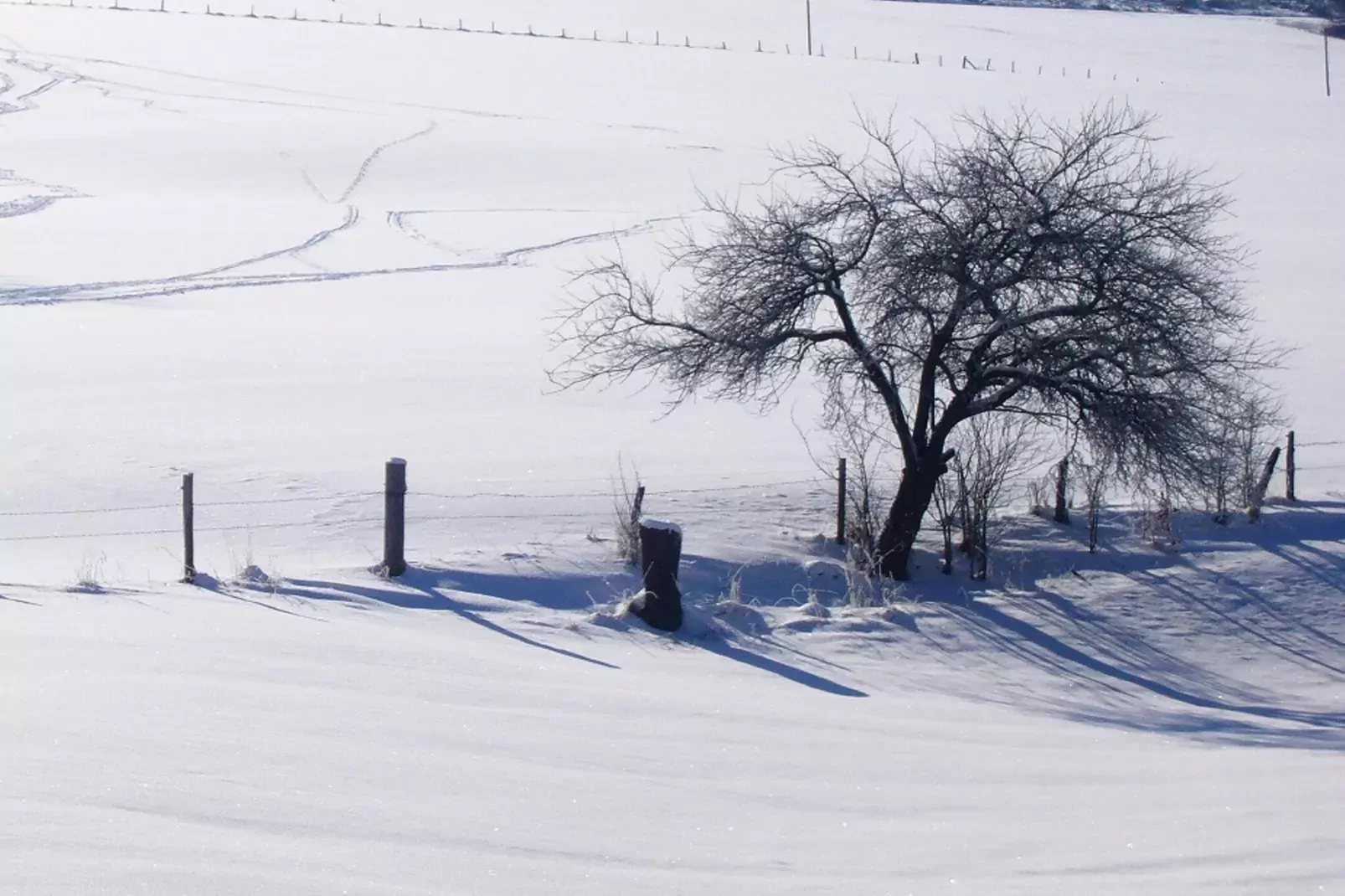 Oberkirchen-Gebiet Winter 1 km