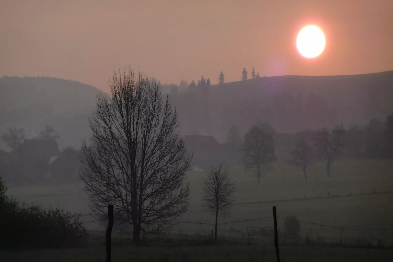 Wilzenberg-Gebiete Sommer 5 km