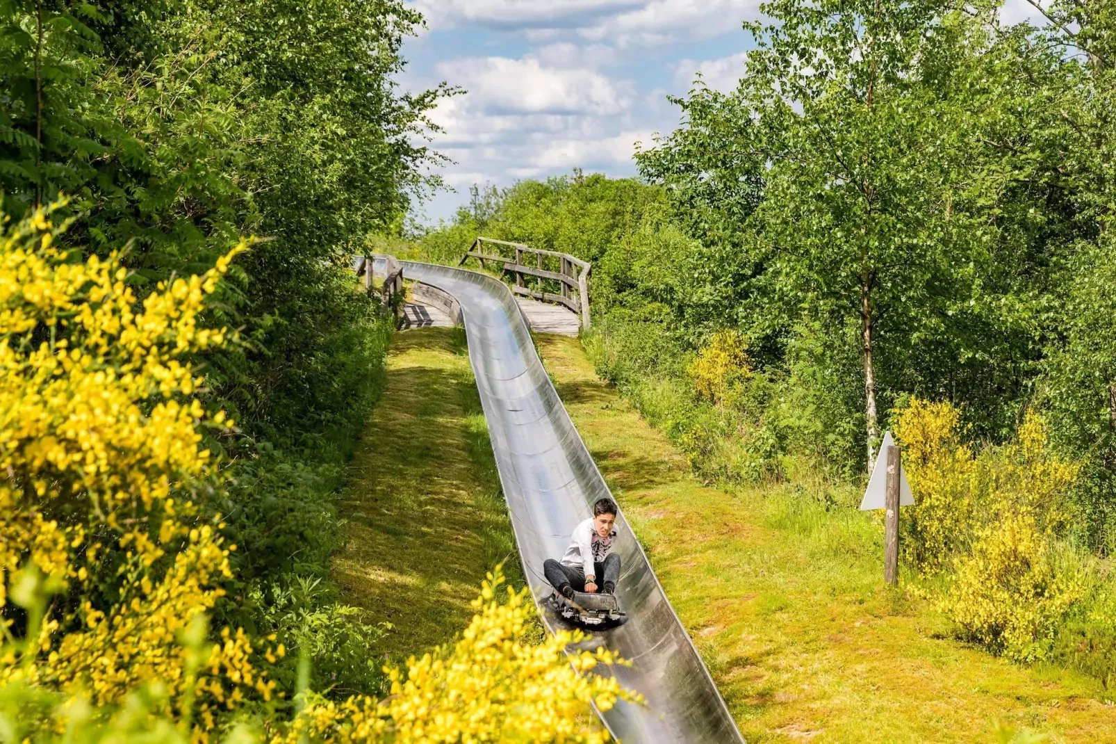 Bergresort Winterberg 1 - Areas within 5km in summer