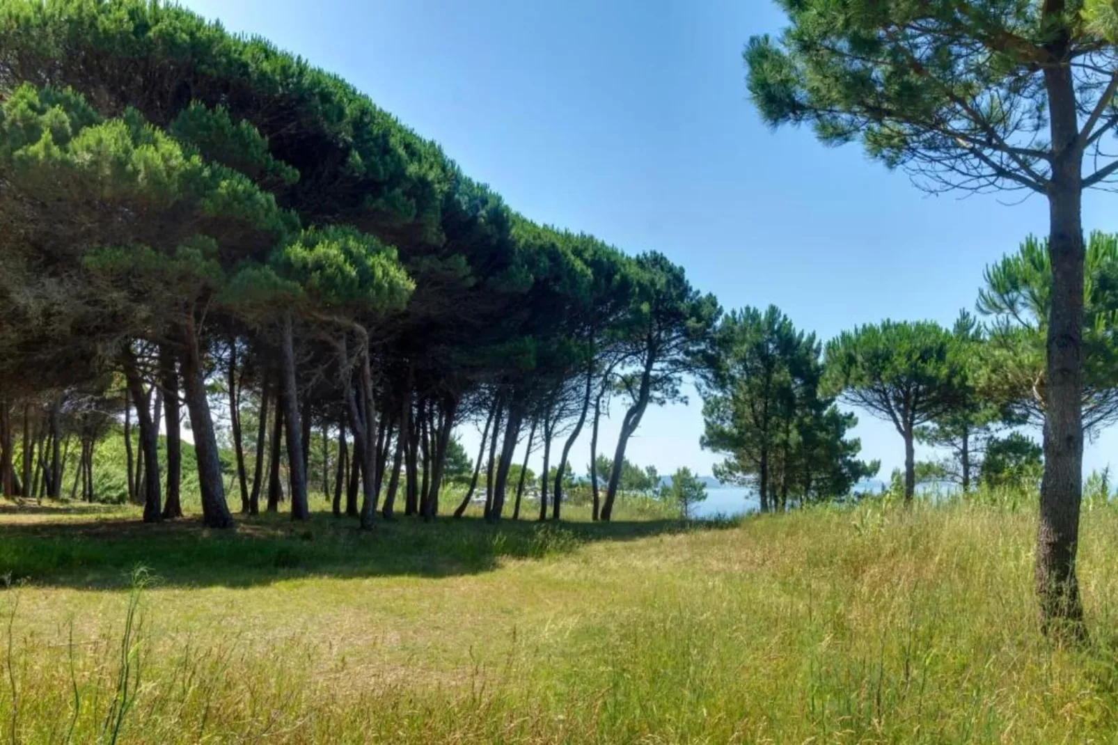 Villa Catro Faros-Areas summer 20km