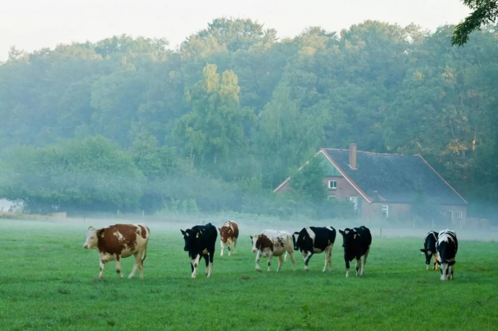 Het Kruisselt-Gebiete Sommer 20 km