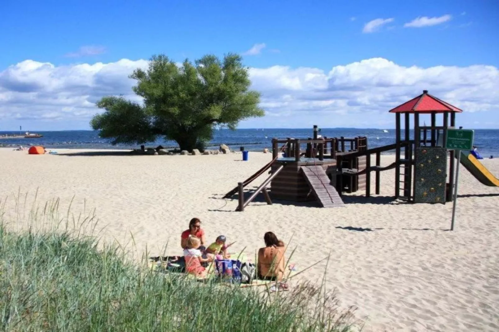 76259-Areas summer 5km