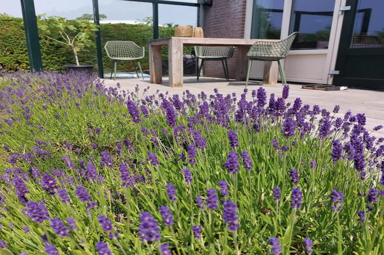 Eureka 102-Terrace balcony
