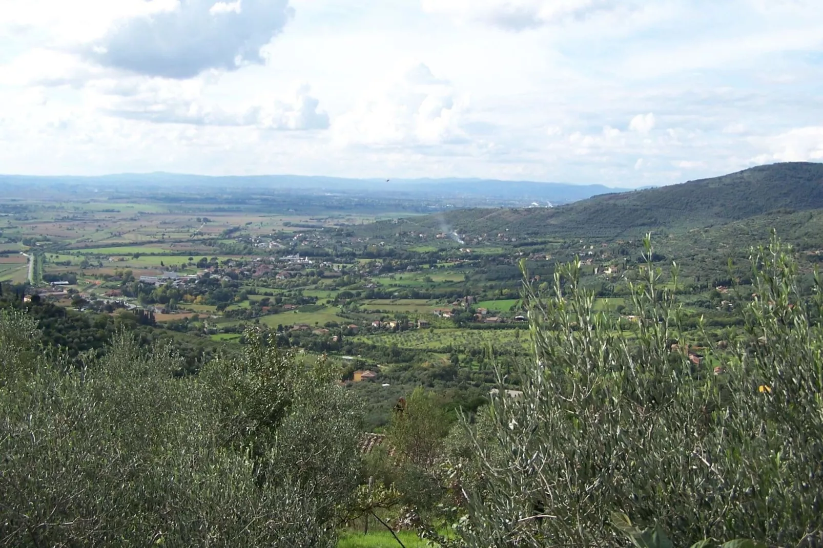 Orangerie degli Ulivi-Vue d'été