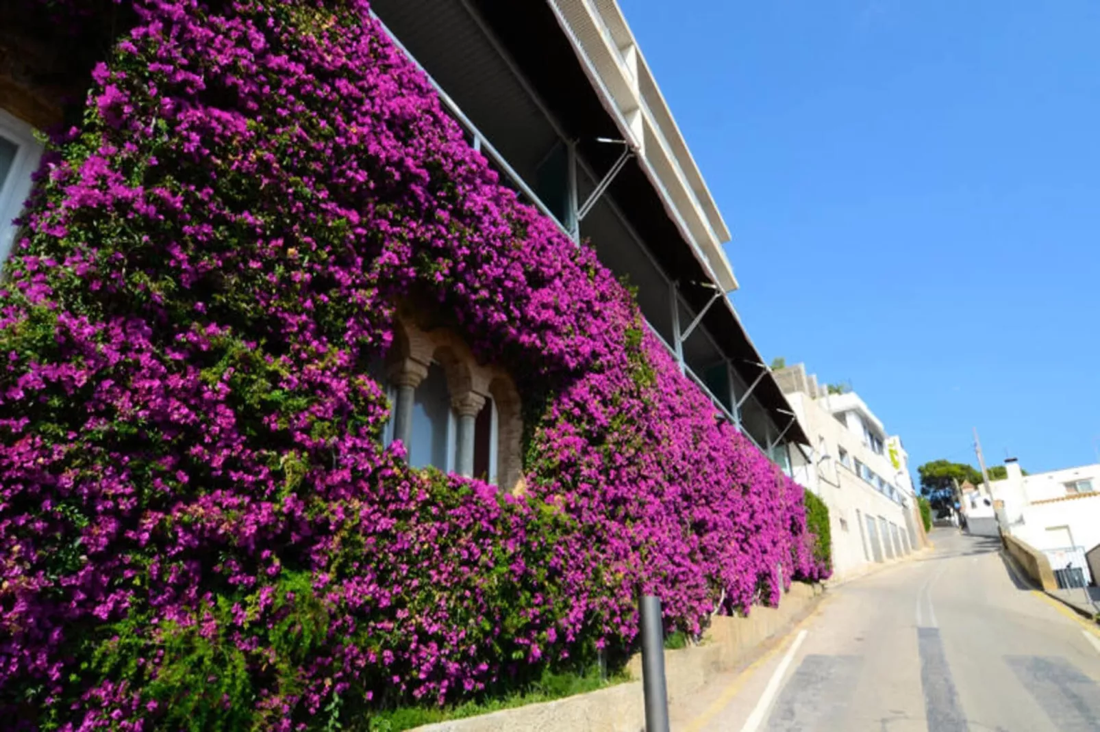 Appartements à L'Estartit-Außenbereich Sommer