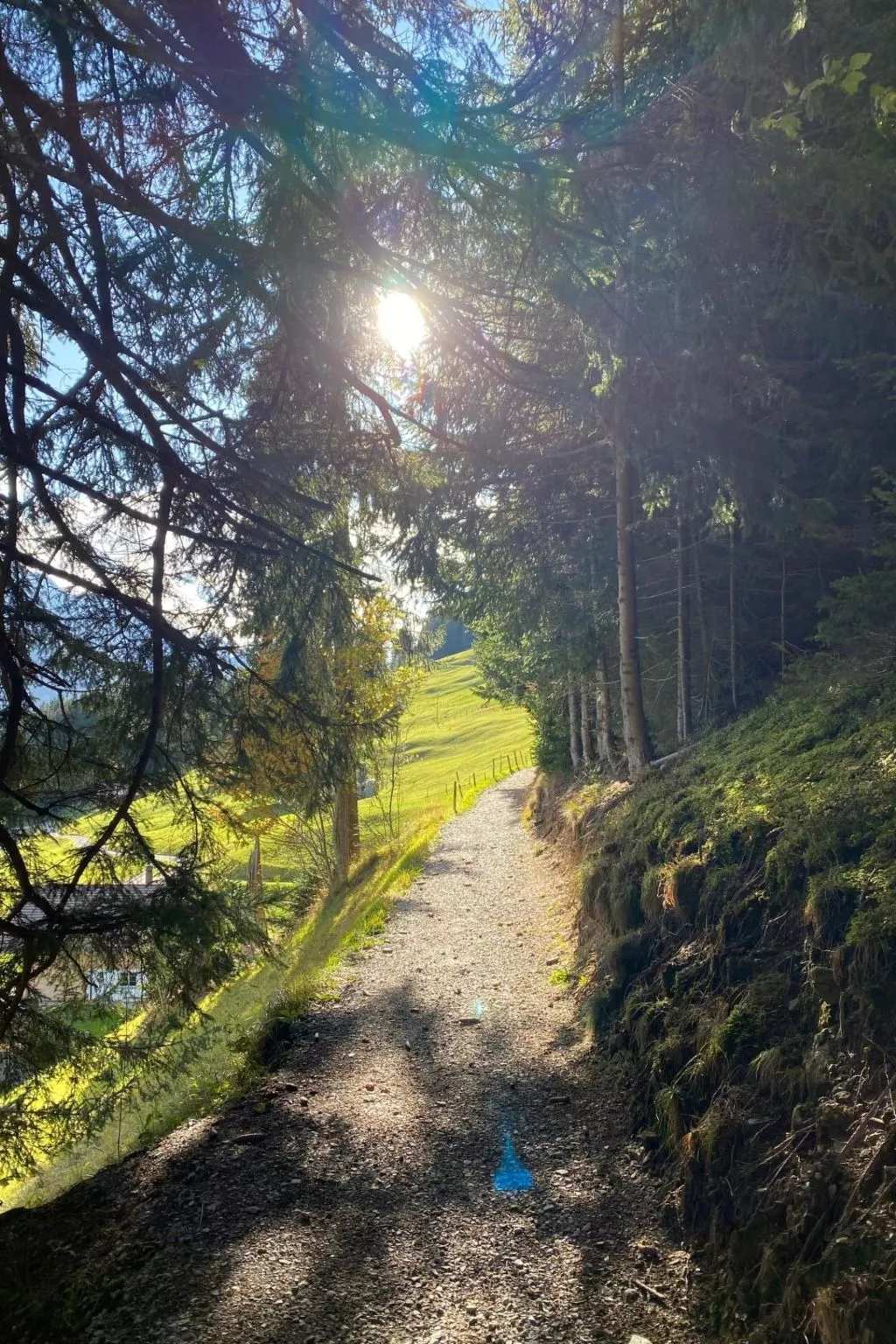 Alpenrose-Dehors