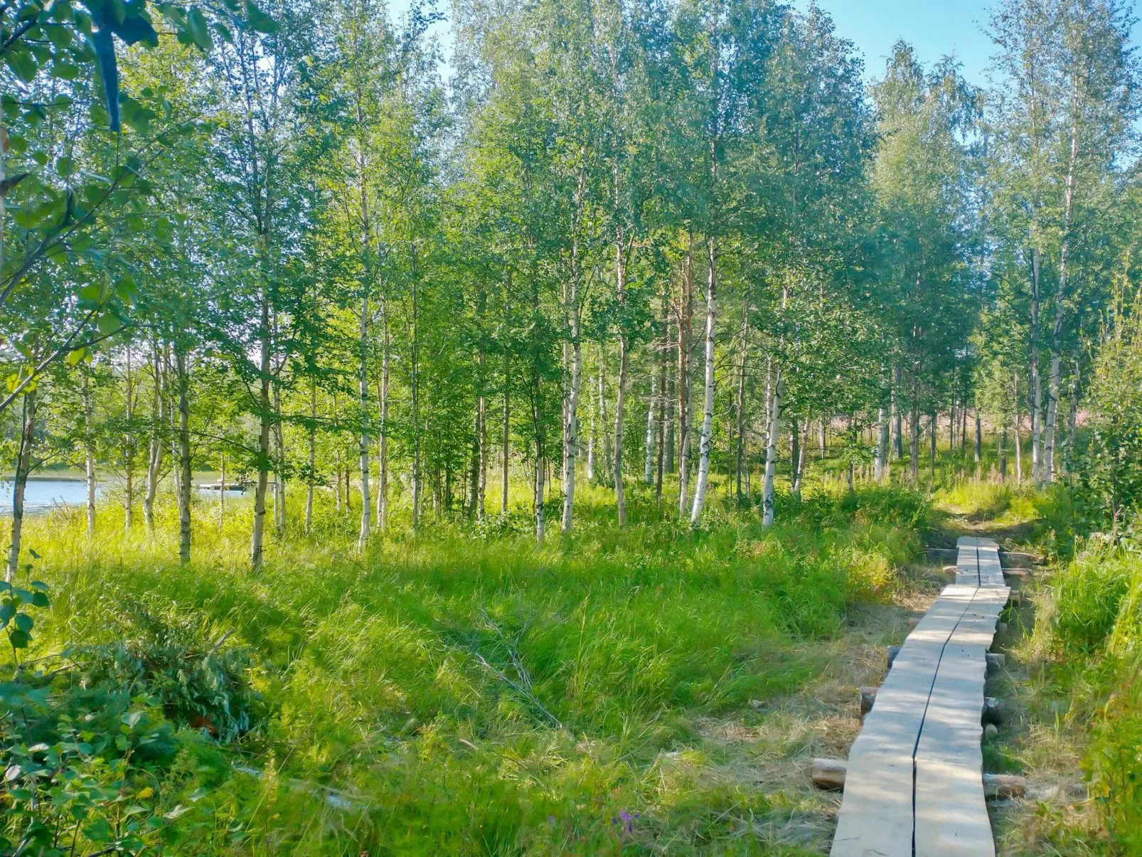 Huitsin nevada-Outside