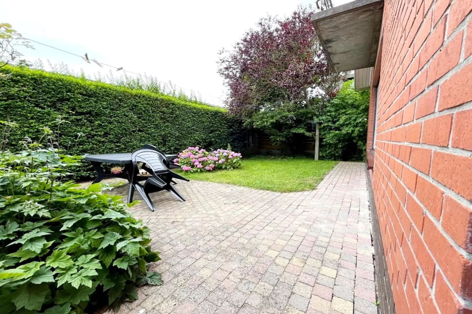 RINGLAAN 104 WONING-Gardens summer