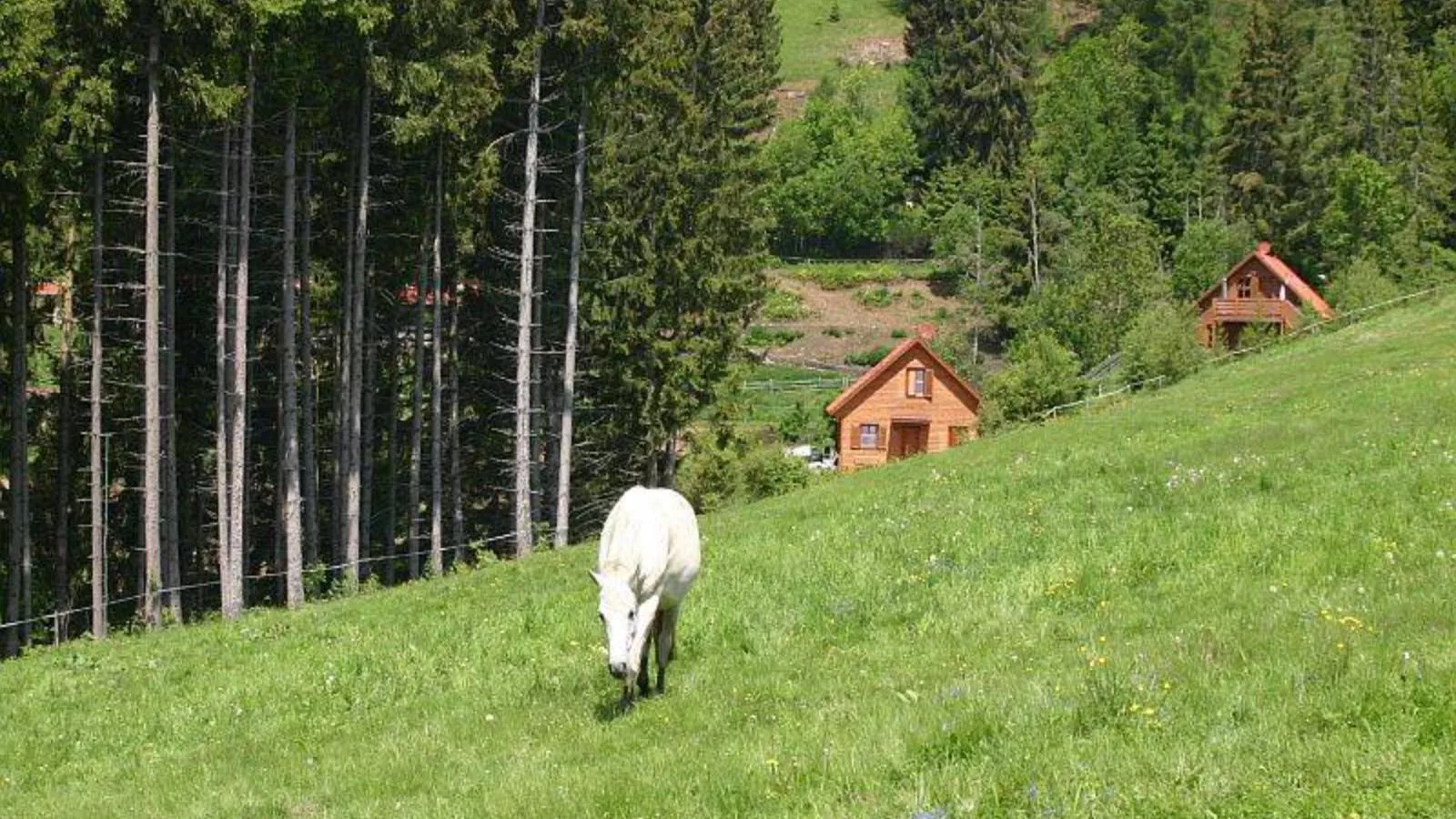 Karawankenpanorama S-Areas summer 1km