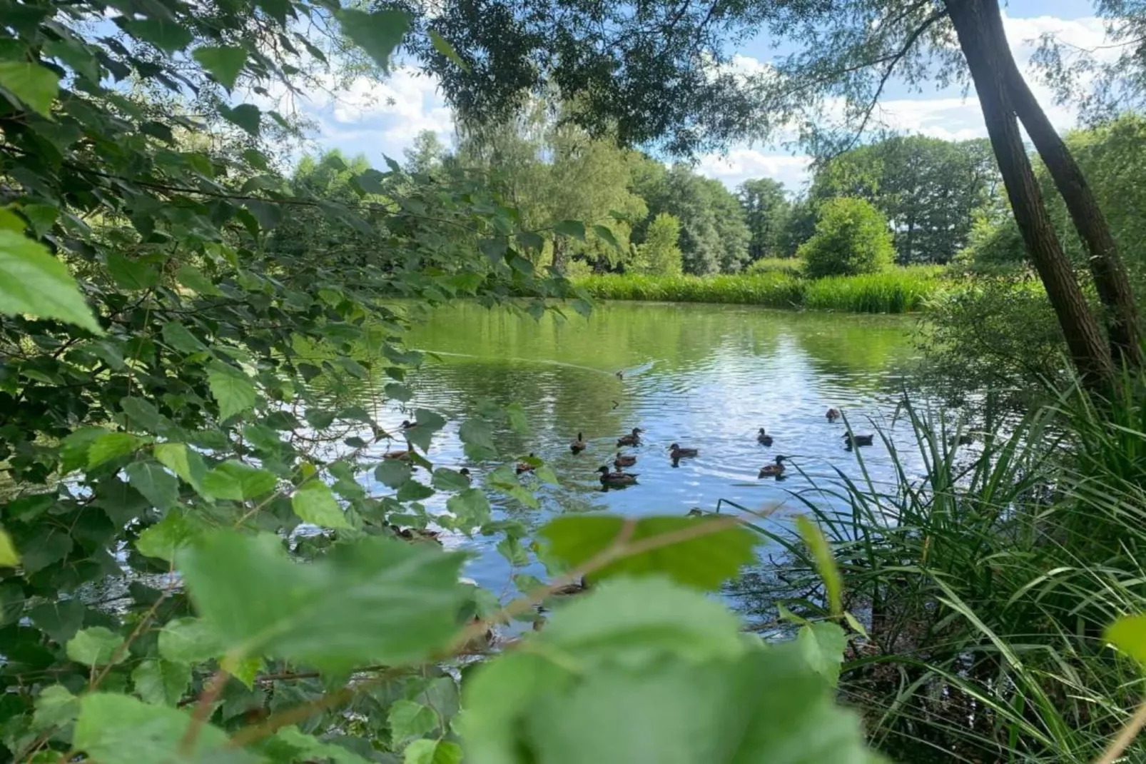 Altes Bootshaus 1-Zones d'été à 20 km