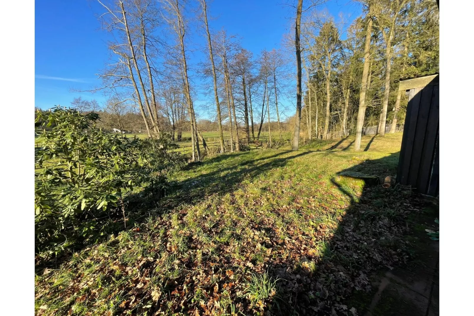Waldzauber-View winter