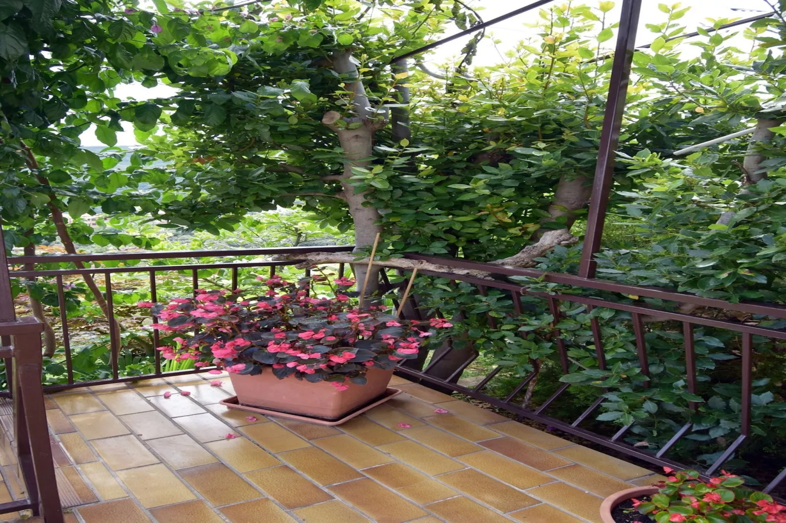 Apartment Neda with Wonderful Sea View-Außenbereich