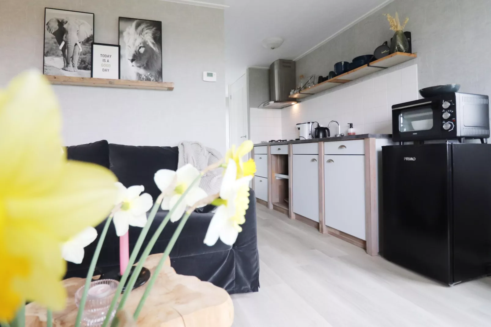 Tureluur-Living room