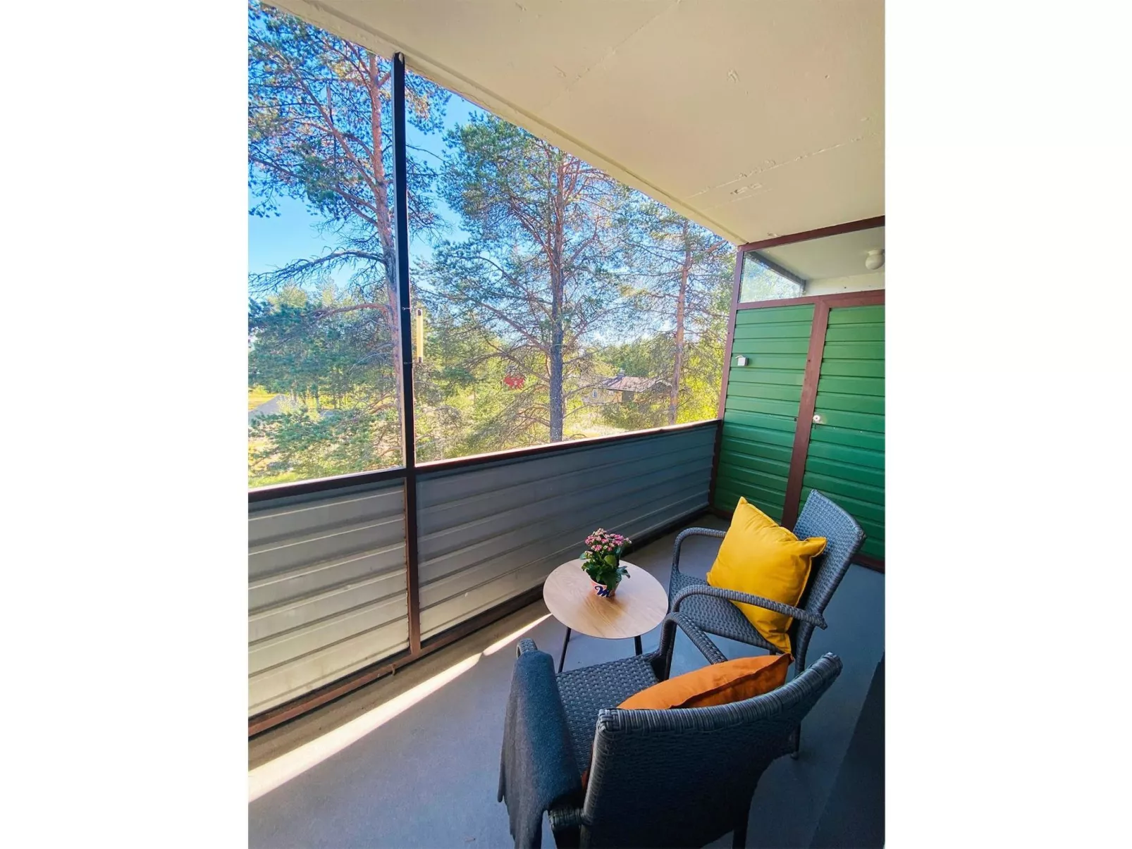 The cozy loggers suite-Outside