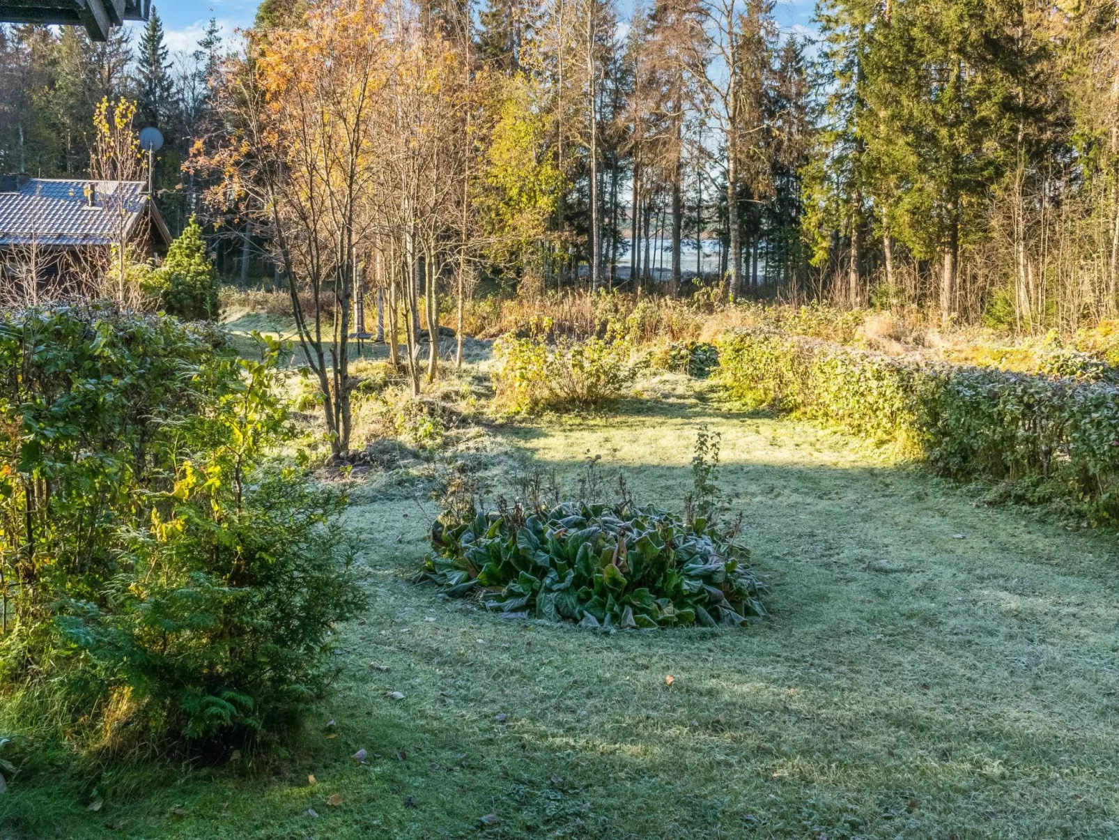 Säästöloma 5 c 10 by bomba-Outside
