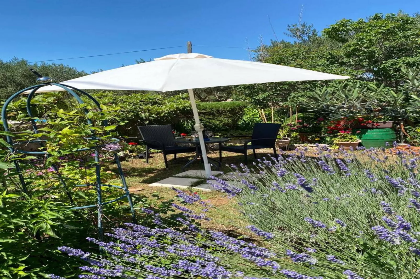 Apartment Ante-Gardens summer