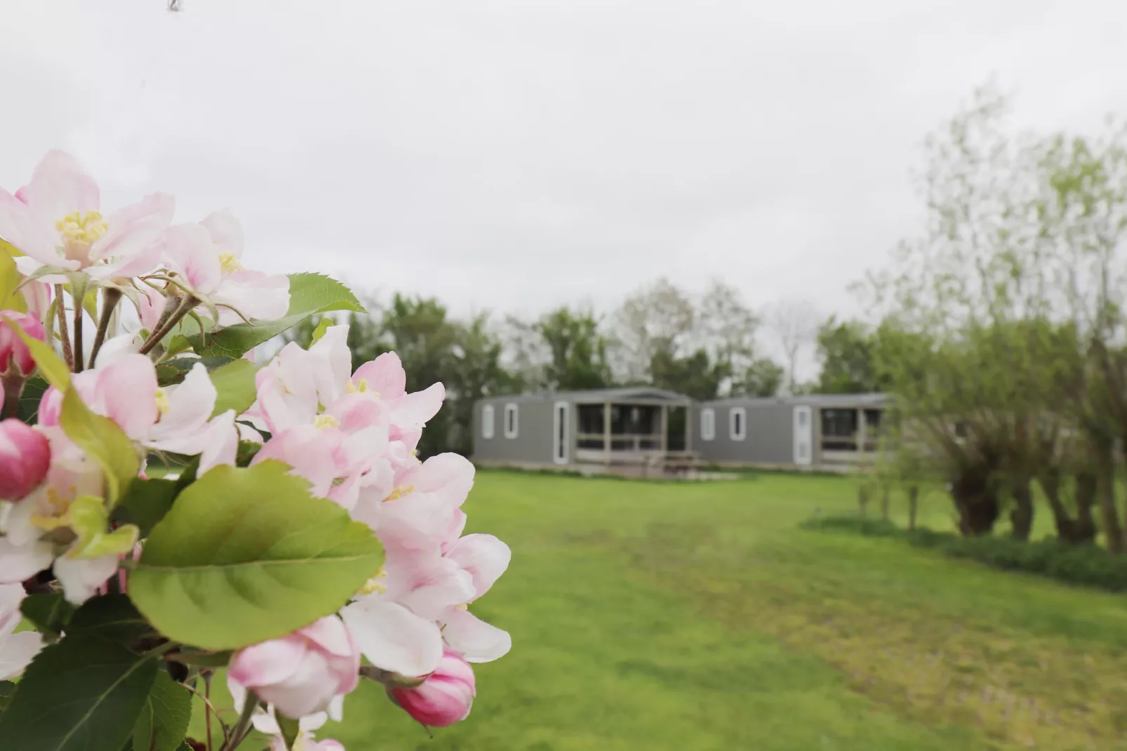 Cosy cabin 2-Außenbereich Sommer