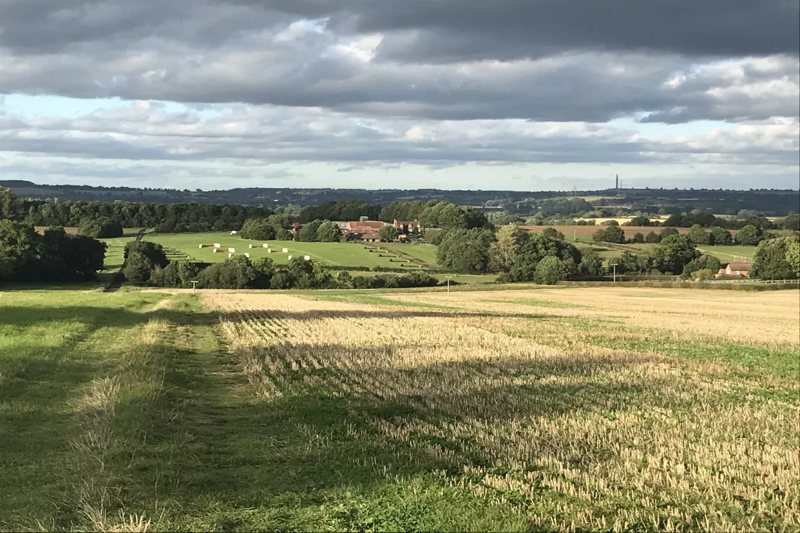 The Cornflower-Areas summer 5km