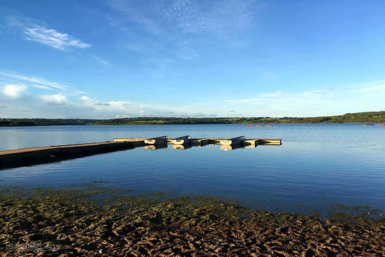 'Dartmoor' Wooden Eco-Lodge-Outdoor