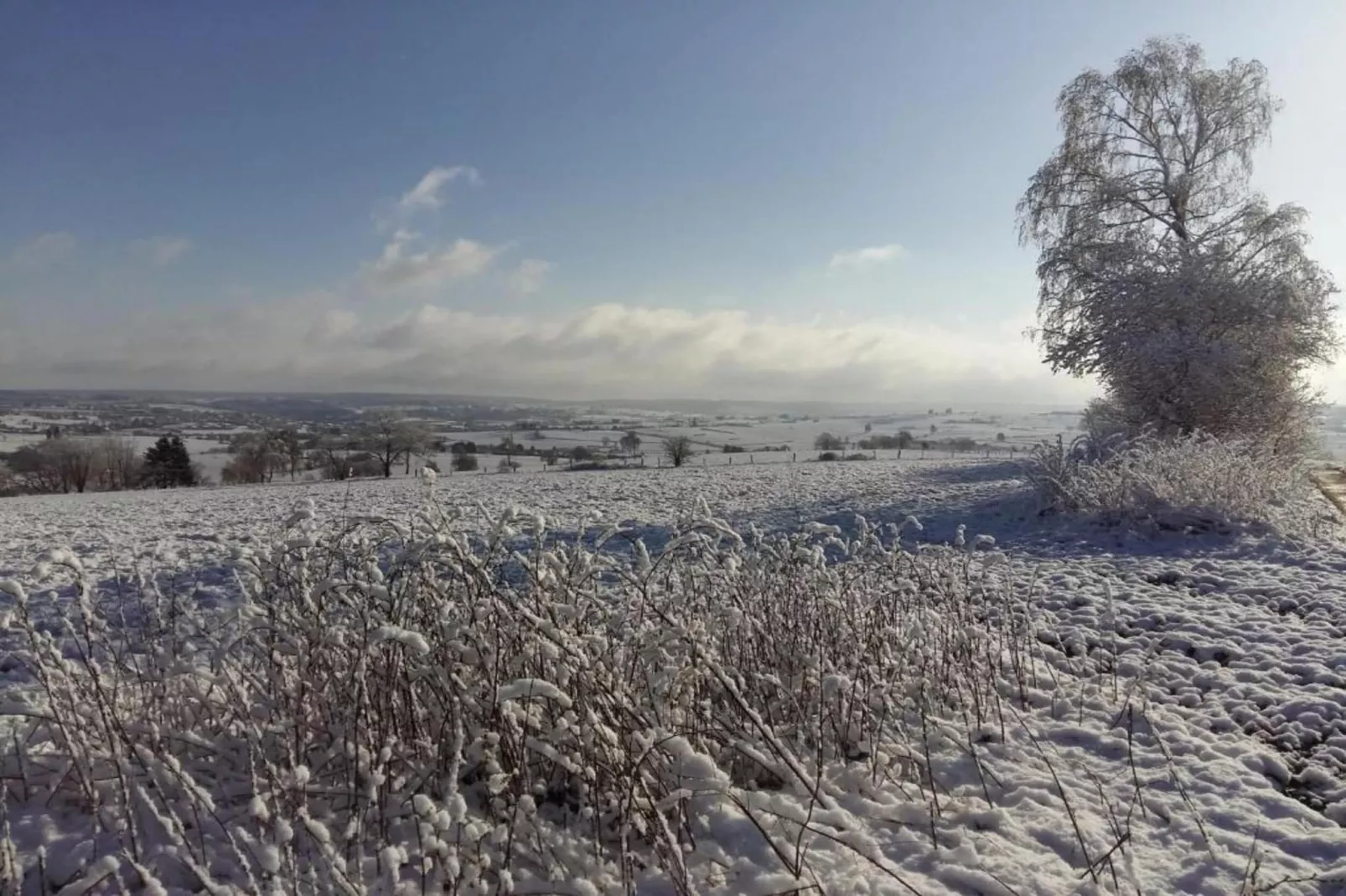 Haus Kohn-Area winter 20km