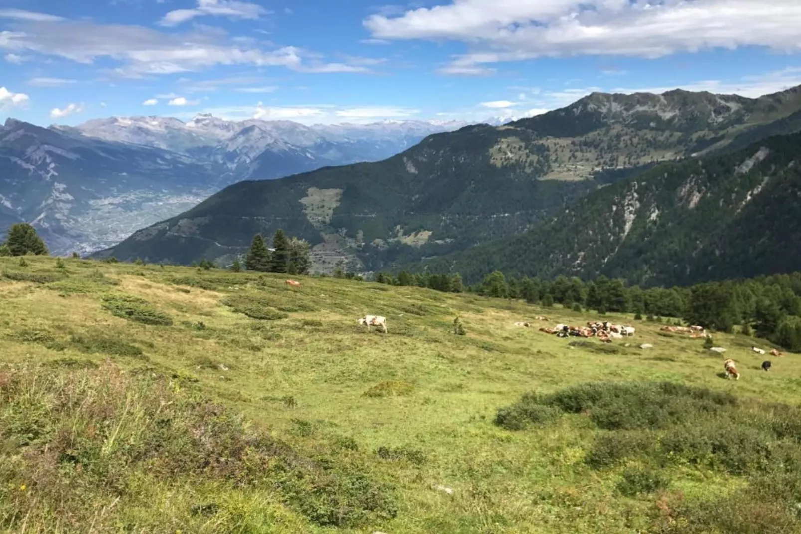 Alpina-Zones d'été à 20 km