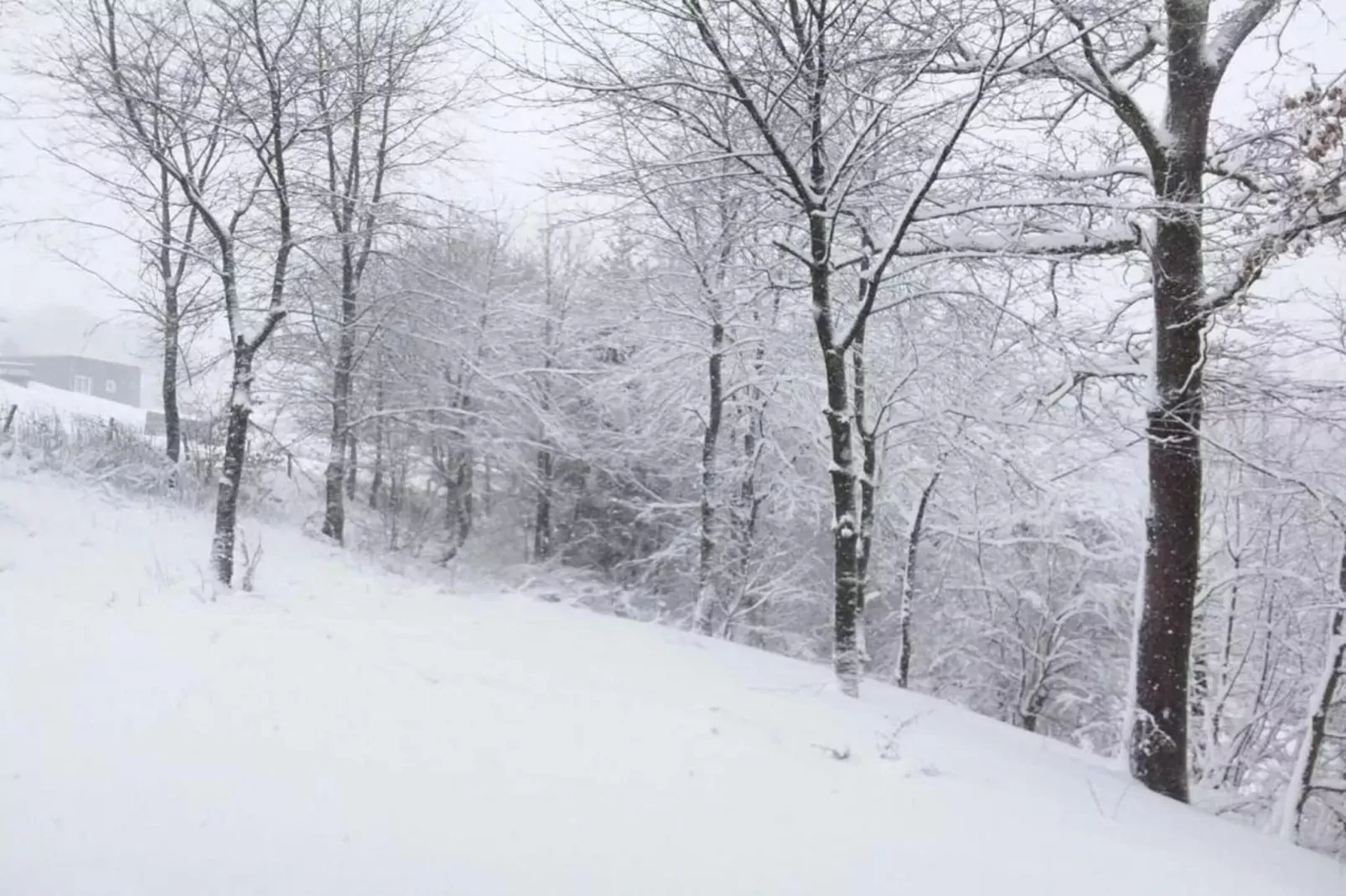 Willingen-Zones hiver à 20 km