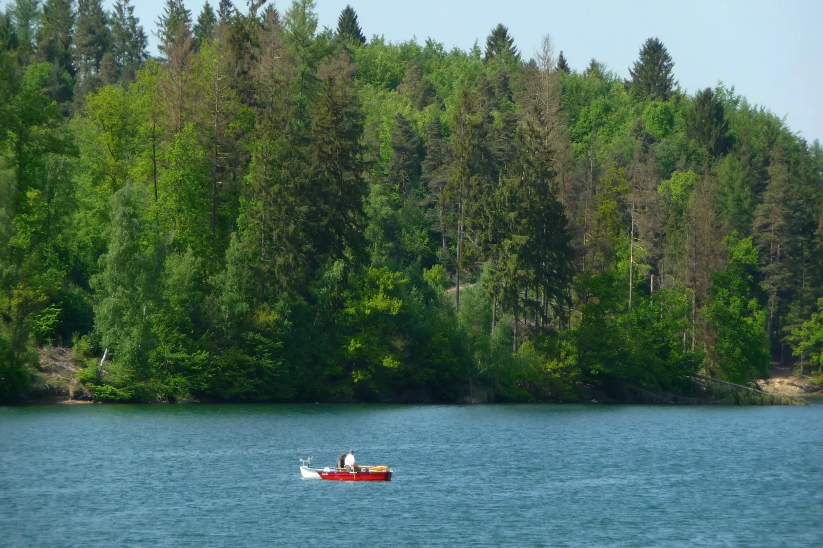 Wilzenberg-Gebiete Sommer 5 km
