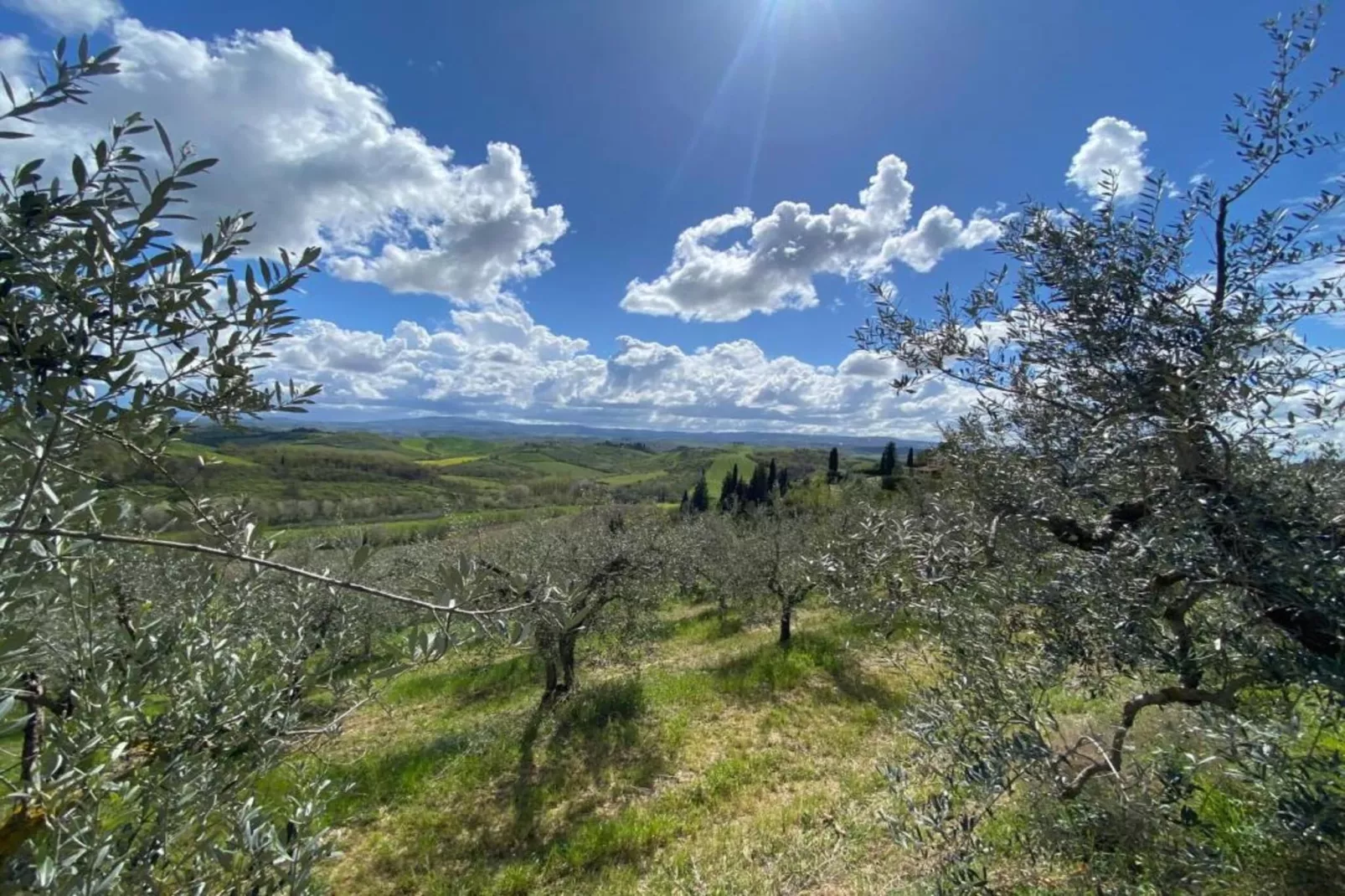 Il Poggiale-apt 9-Areas summer 20km