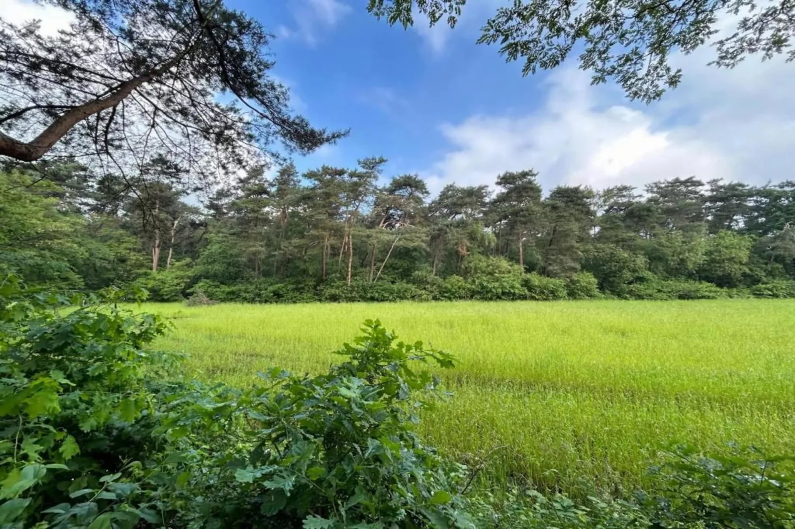 Het Kruisselt-Gebiete Sommer 20 km