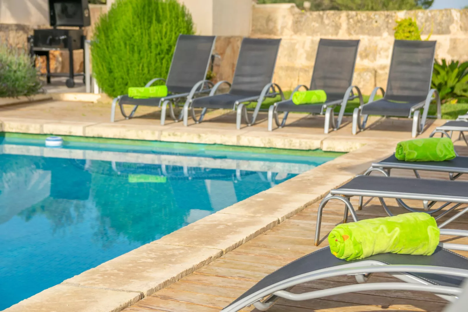 Son Indiot-Piscine