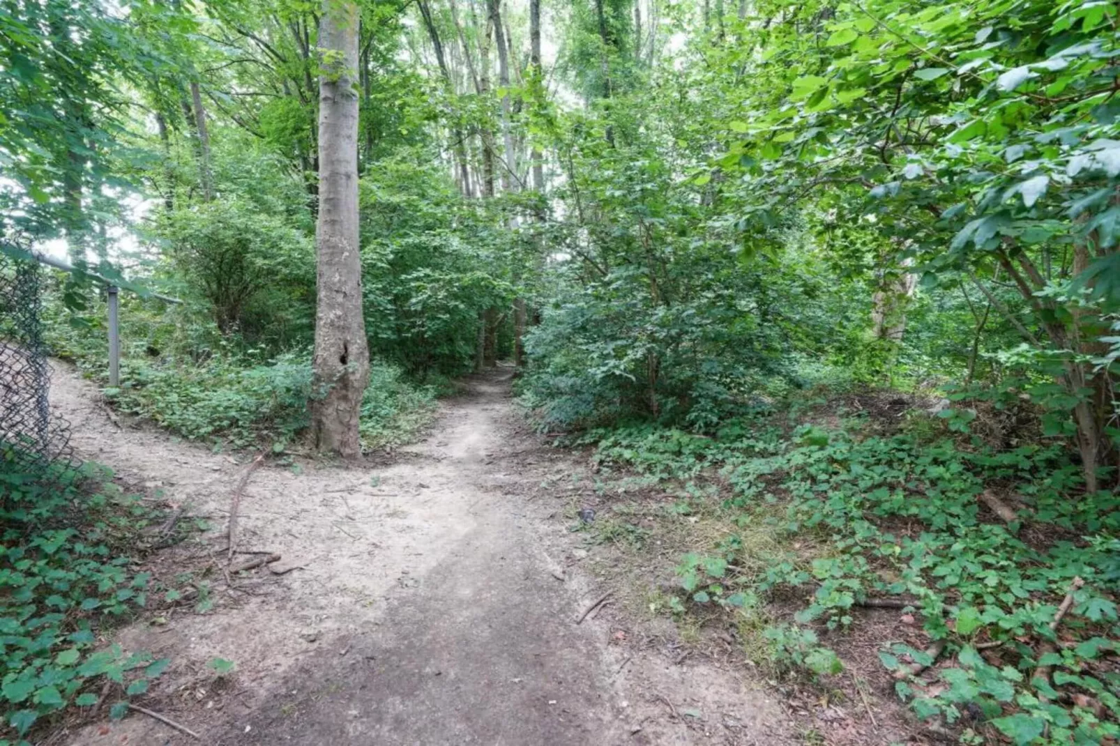 Edisonstraat - 2P-Gebiete Sommer 20 km