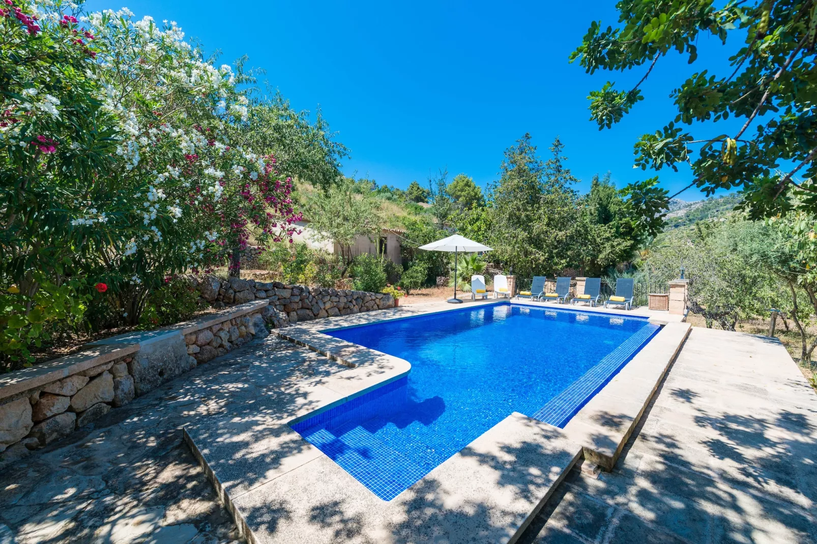 Sa Tarongera-Pool