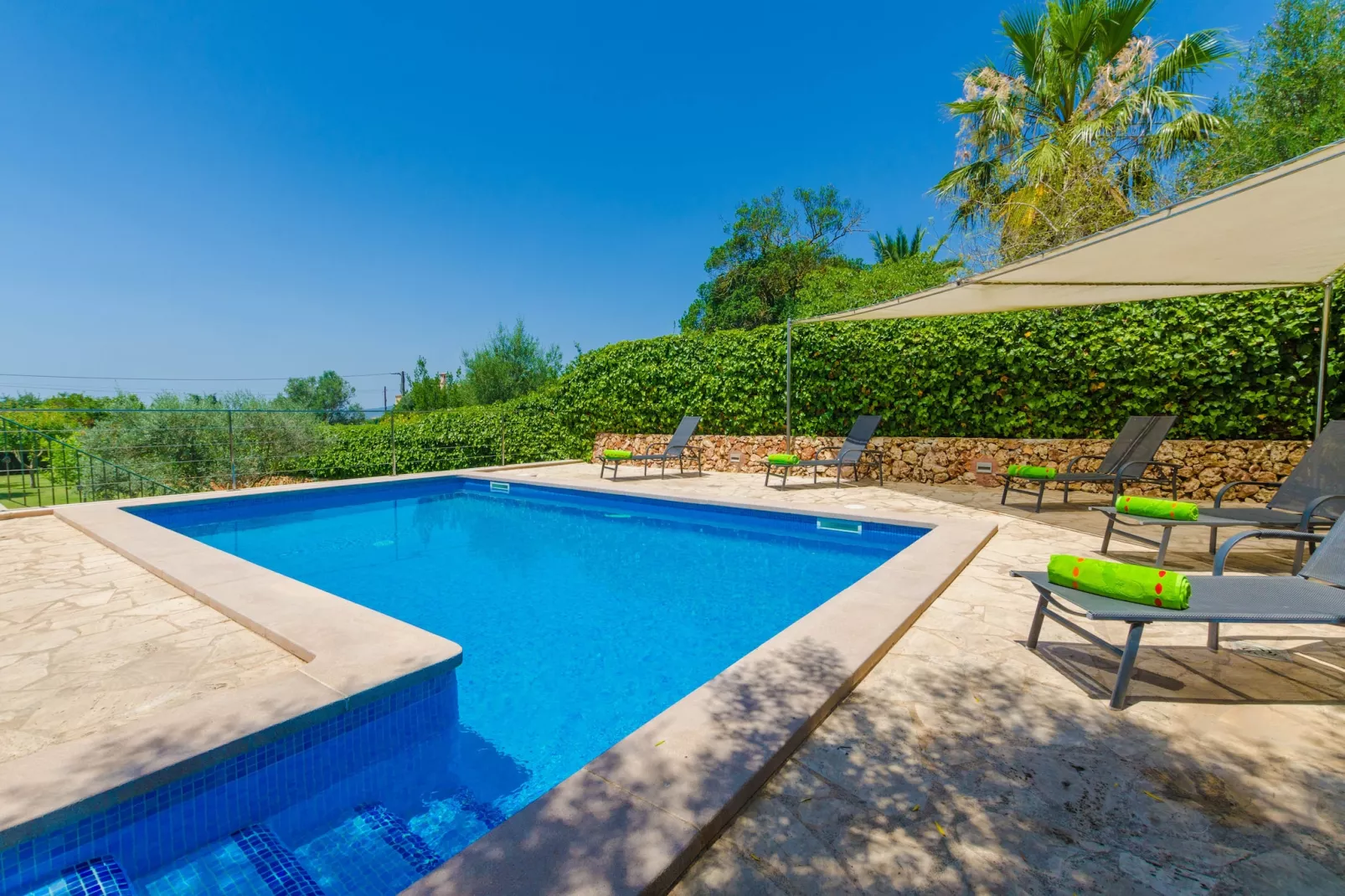 Son Frau-Pool