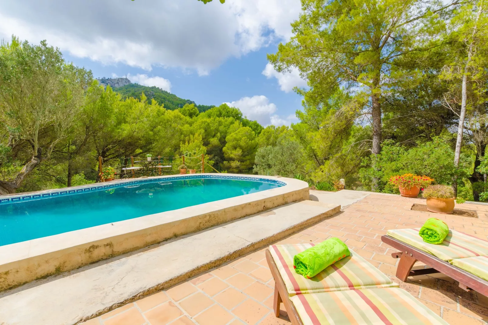 Casa Mas-Pool