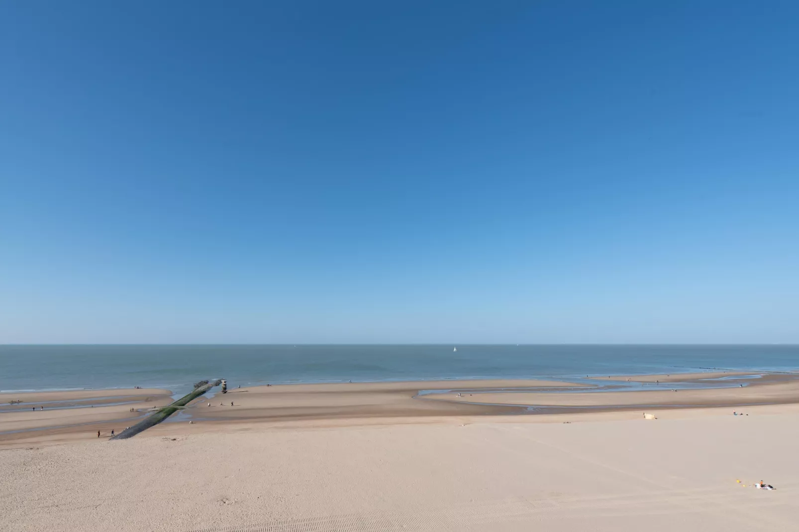 Brighton-Areas summer 20km