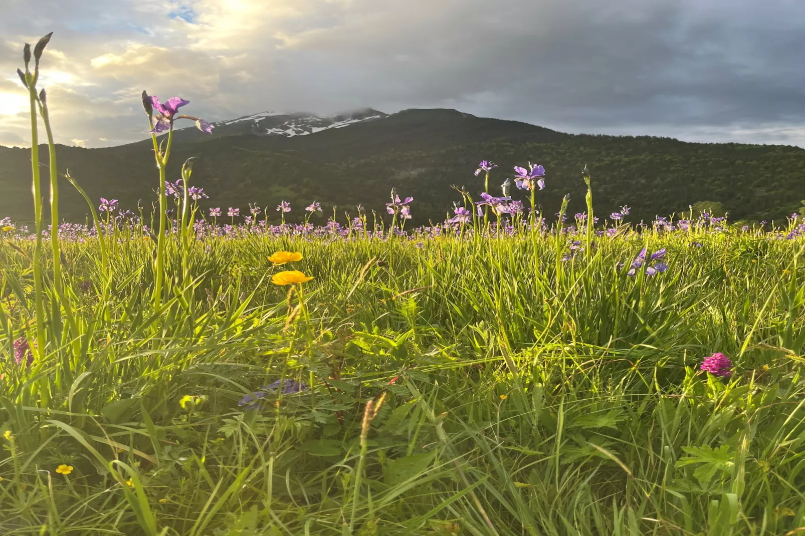 Zugspitz Suites Lermoos 5-Areas summer 1km
